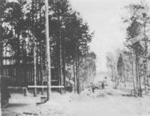 Road Work at Camp Greene