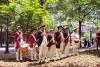 Re-enactors at Polk Park (Trade & Tryon Streets, Charlotte, NC) May 20, 2004.